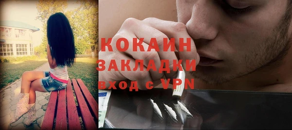 стафф Арсеньев